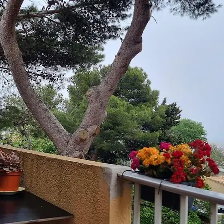 Le Formentor ルカート